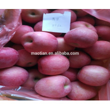 Chine pomme fraîche